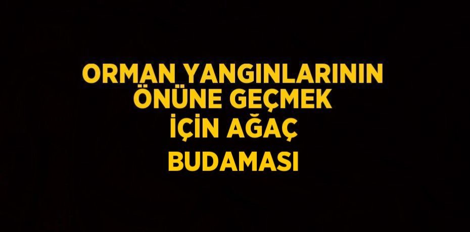 ORMAN YANGINLARININ ÖNÜNE GEÇMEK İÇİN AĞAÇ BUDAMASI