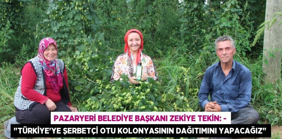 Pazaryeri Belediye Başkanı Zekiye Tekin: - "Türkiye’ye şerbetçi otu kolonyasının dağıtımını yapacağız"