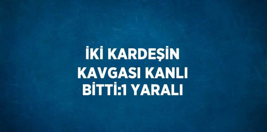 İKİ KARDEŞİN KAVGASI KANLI BİTTİ:1 YARALI