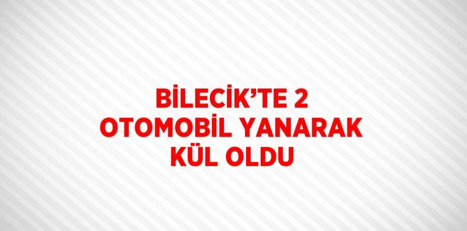 BİLECİK’TE 2 OTOMOBİL YANARAK KÜL OLDU