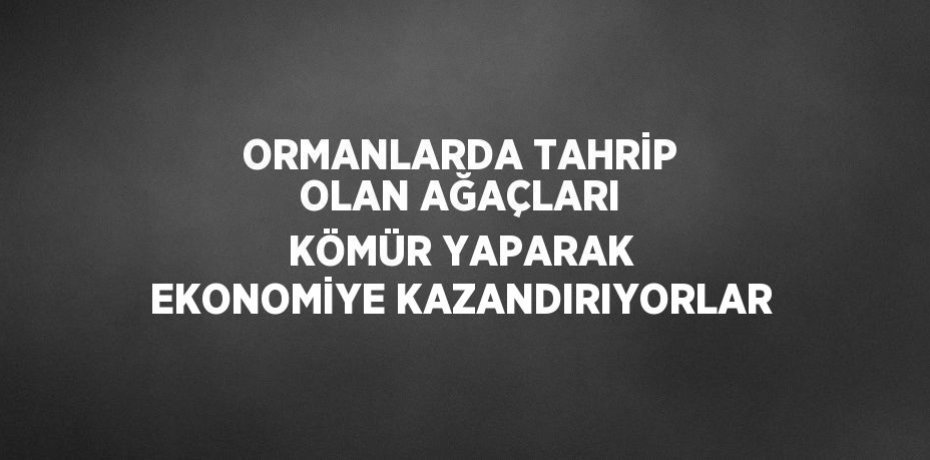 ORMANLARDA TAHRİP OLAN AĞAÇLARI KÖMÜR YAPARAK EKONOMİYE KAZANDIRIYORLAR