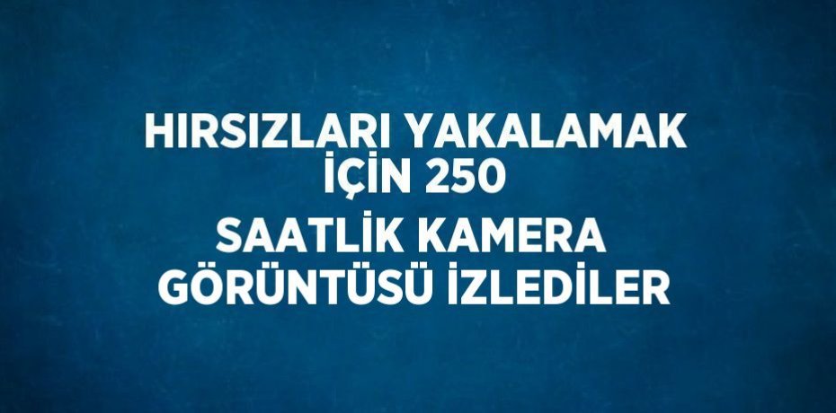 HIRSIZLARI YAKALAMAK İÇİN 250 SAATLİK KAMERA GÖRÜNTÜSÜ İZLEDİLER