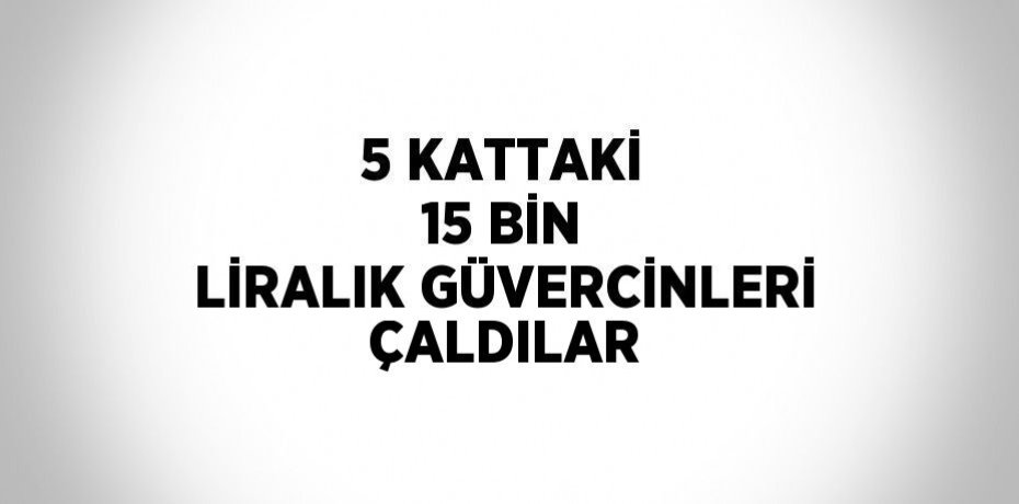 5 KATTAKİ 15 BİN LİRALIK GÜVERCİNLERİ ÇALDILAR