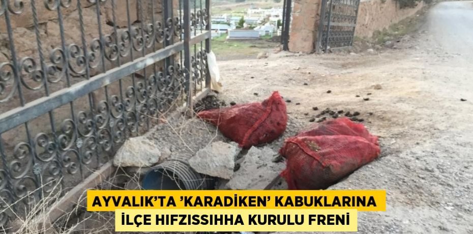 AYVALIK’TA ’KARADİKEN’ KABUKLARINA İLÇE HIFZISSIHHA KURULU FRENİ