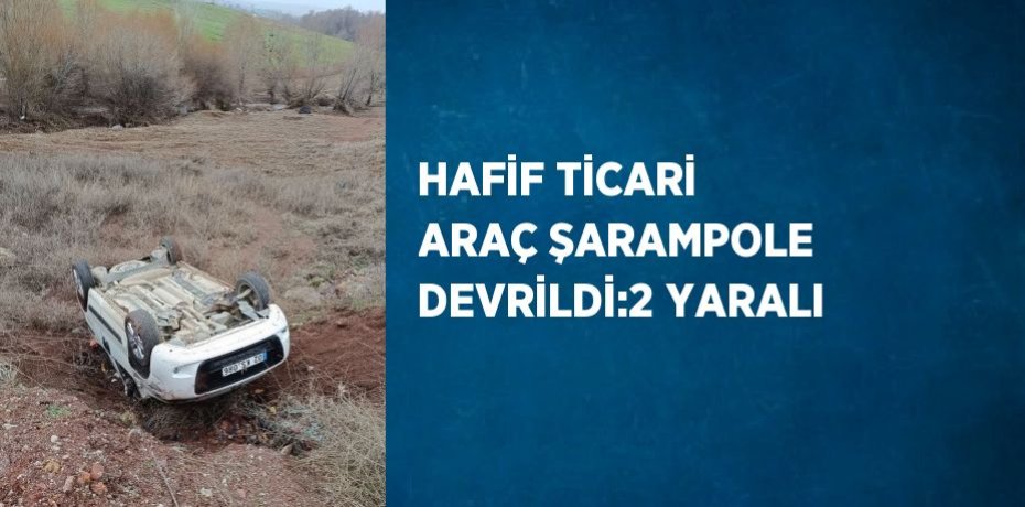 HAFİF TİCARİ ARAÇ ŞARAMPOLE DEVRİLDİ:2 YARALI