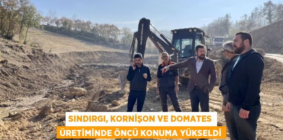 Sındırgı, kornişon ve domates üretiminde öncü konuma yükseldi
