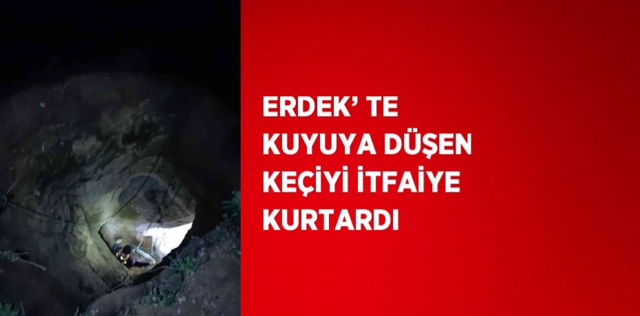 ERDEK’ TE KUYUYA DÜŞEN KEÇİYİ İTFAİYE KURTARDI