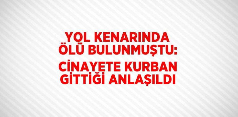 YOL KENARINDA ÖLÜ BULUNMUŞTU: CİNAYETE KURBAN GİTTİĞİ ANLAŞILDI
