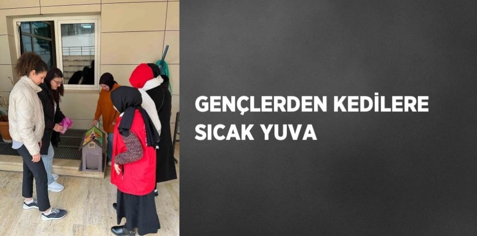 GENÇLERDEN KEDİLERE SICAK YUVA