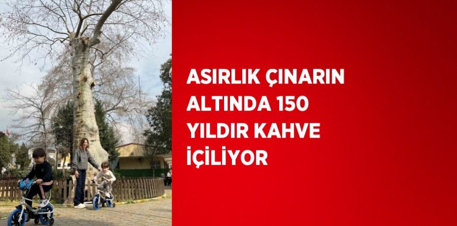 ASIRLIK ÇINARIN ALTINDA 150 YILDIR KAHVE İÇİLİYOR