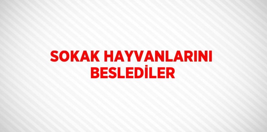 SOKAK HAYVANLARINI BESLEDİLER