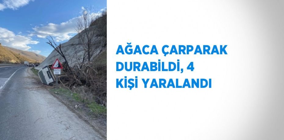 AĞACA ÇARPARAK DURABİLDİ, 4 KİŞİ YARALANDI