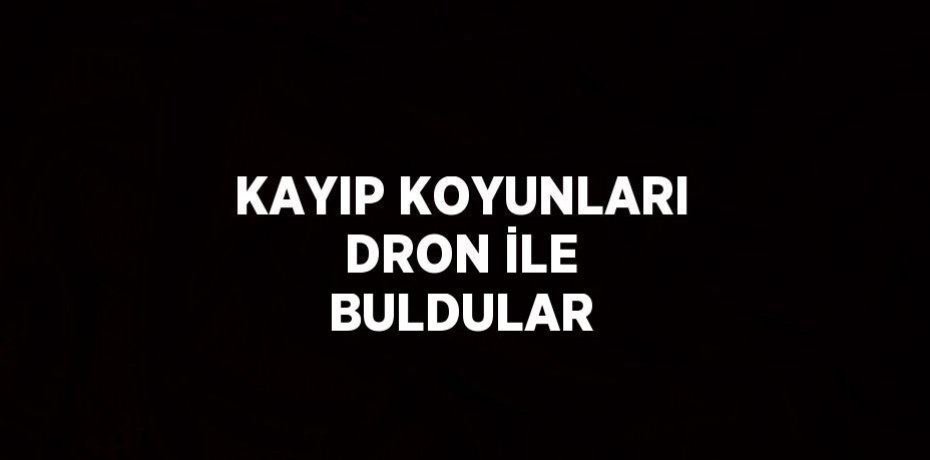 KAYIP KOYUNLARI DRON İLE BULDULAR