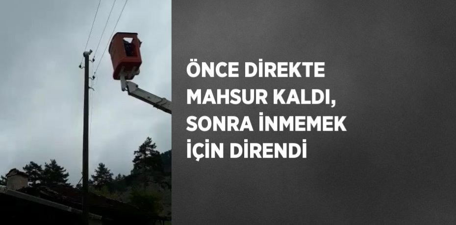 ÖNCE DİREKTE MAHSUR KALDI, SONRA İNMEMEK İÇİN DİRENDİ