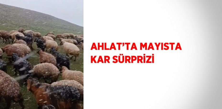 AHLAT’TA MAYISTA KAR SÜRPRİZİ
