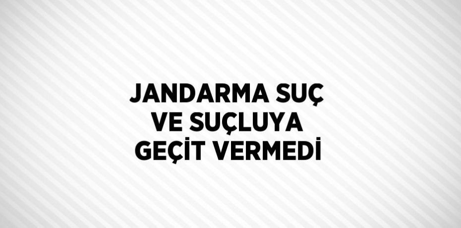 JANDARMA SUÇ VE SUÇLUYA GEÇİT VERMEDİ