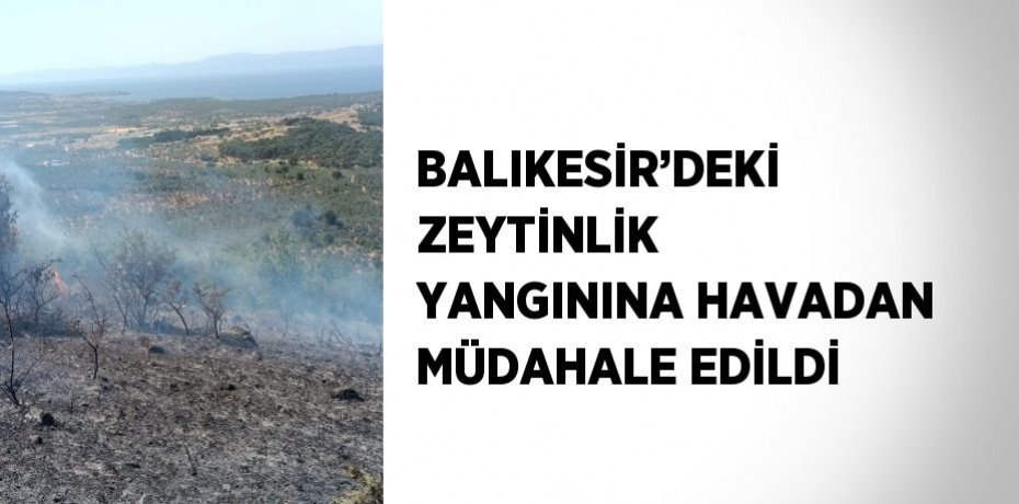BALIKESİR’DEKİ ZEYTİNLİK YANGININA HAVADAN MÜDAHALE EDİLDİ