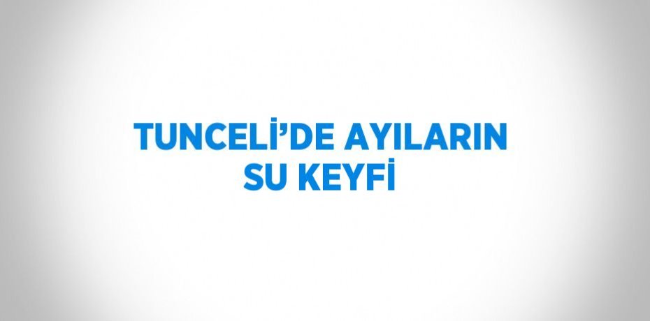 TUNCELİ’DE AYILARIN SU KEYFİ