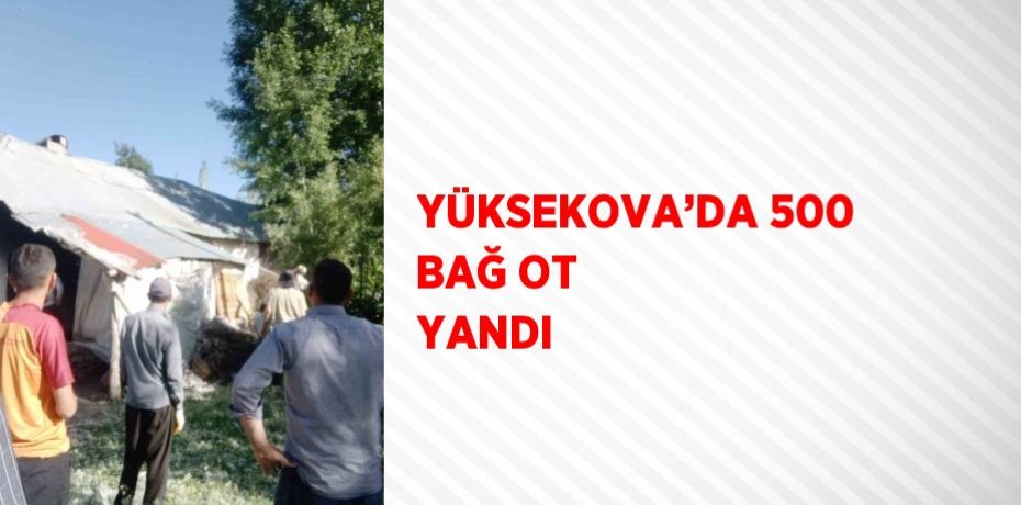 YÜKSEKOVA’DA 500 BAĞ OT YANDI