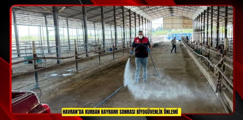 Havran’da kurban bayramı sonrası biyogüvenlik önlemi  