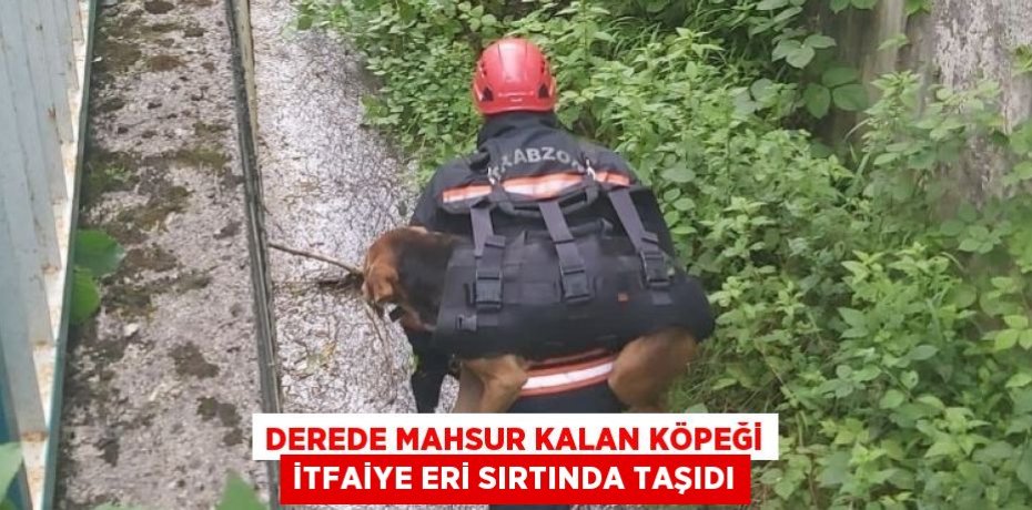 DEREDE MAHSUR KALAN KÖPEĞİ İTFAİYE ERİ SIRTINDA TAŞIDI