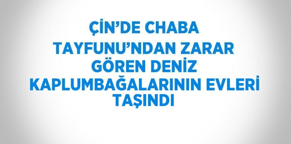 ÇİN’DE CHABA TAYFUNU’NDAN ZARAR GÖREN DENİZ KAPLUMBAĞALARININ EVLERİ TAŞINDI