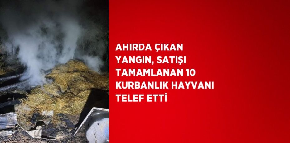 AHIRDA ÇIKAN YANGIN, SATIŞI TAMAMLANAN 10 KURBANLIK HAYVANI TELEF ETTİ