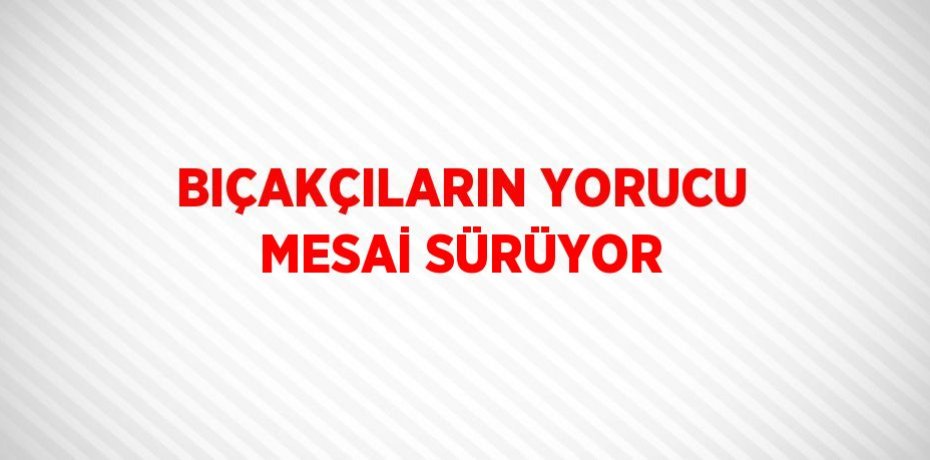 BIÇAKÇILARIN YORUCU MESAİ SÜRÜYOR