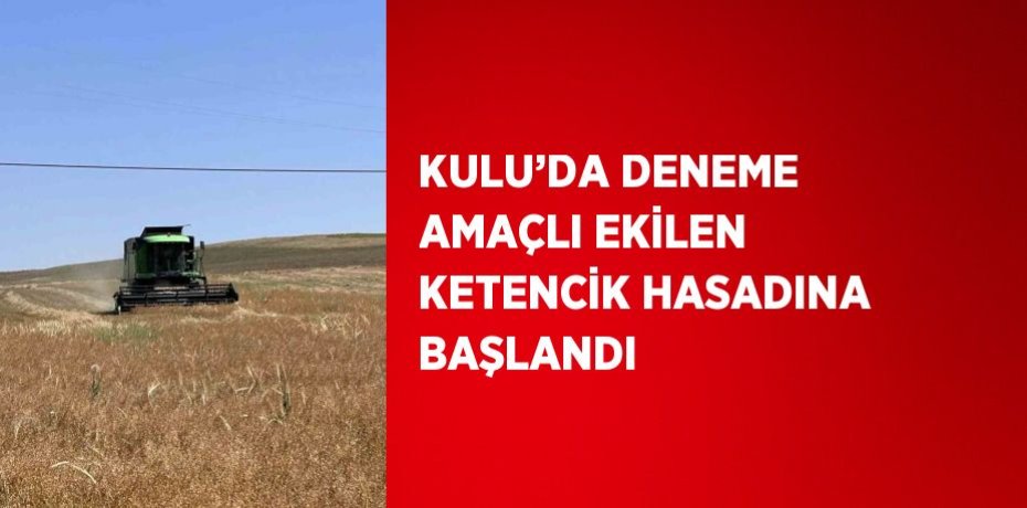 KULU’DA DENEME AMAÇLI EKİLEN KETENCİK HASADINA BAŞLANDI