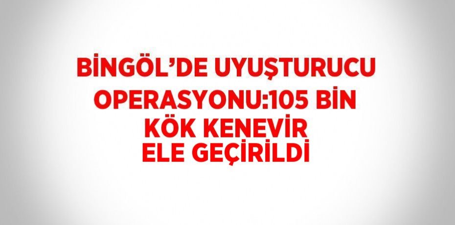 BİNGÖL’DE UYUŞTURUCU OPERASYONU:105 BİN KÖK KENEVİR ELE GEÇİRİLDİ