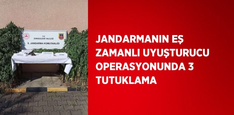 JANDARMANIN EŞ ZAMANLI UYUŞTURUCU OPERASYONUNDA 3 TUTUKLAMA