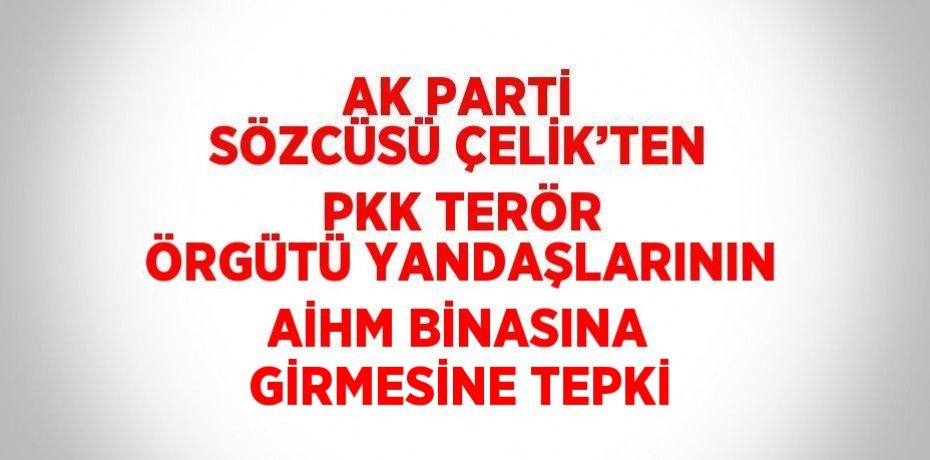 AK PARTİ SÖZCÜSÜ ÇELİK’TEN PKK TERÖR ÖRGÜTÜ YANDAŞLARININ AİHM BİNASINA GİRMESİNE TEPKİ