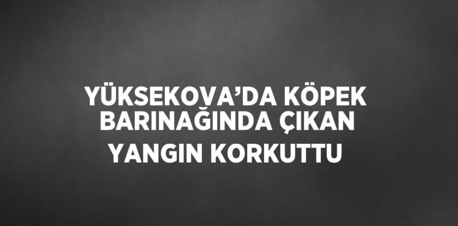 YÜKSEKOVA’DA KÖPEK BARINAĞINDA ÇIKAN YANGIN KORKUTTU