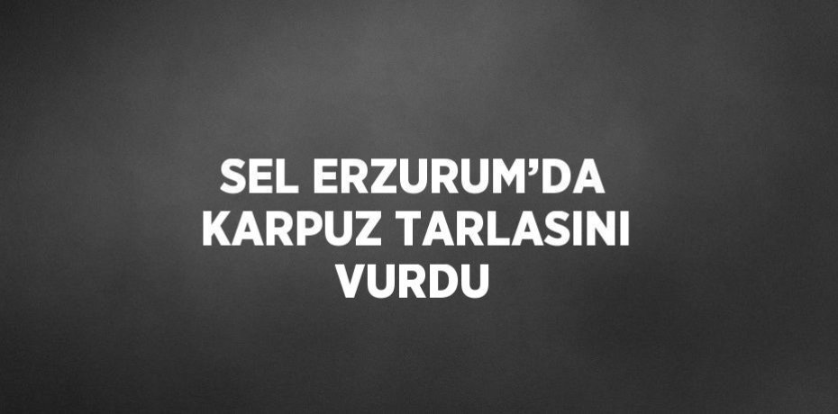 SEL ERZURUM’DA KARPUZ TARLASINI VURDU