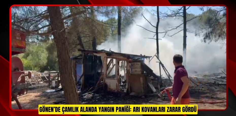 Gönen’de çamlık alanda yangın paniği: Arı kovanları zarar gördü