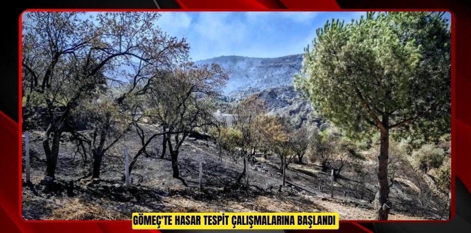 Gömeç'te hasar tespit çalışmalarına başlandı  