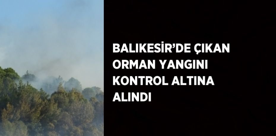 BALIKESİR’DE ÇIKAN ORMAN YANGINI KONTROL ALTINA ALINDI