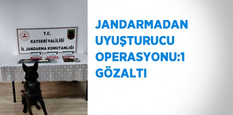 JANDARMADAN UYUŞTURUCU OPERASYONU:1 GÖZALTI