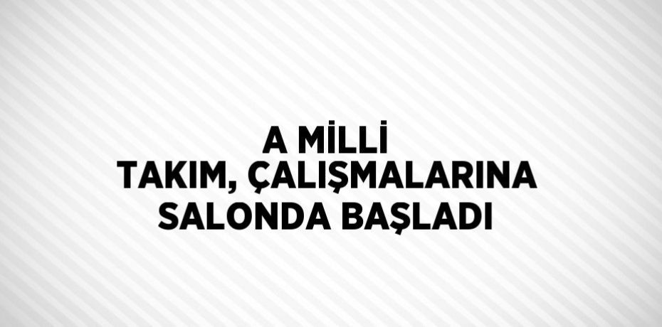 A MİLLİ TAKIM, ÇALIŞMALARINA SALONDA BAŞLADI