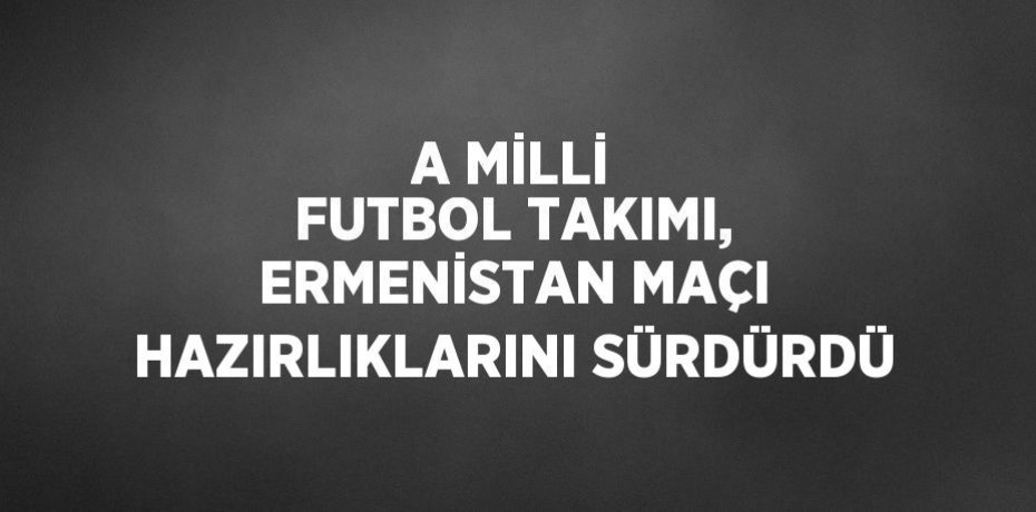 A MİLLİ FUTBOL TAKIMI, ERMENİSTAN MAÇI HAZIRLIKLARINI SÜRDÜRDÜ