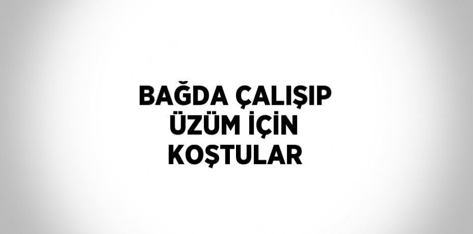 BAĞDA ÇALIŞIP ÜZÜM İÇİN KOŞTULAR