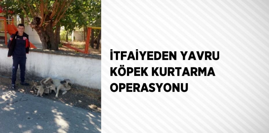 İTFAİYEDEN YAVRU KÖPEK KURTARMA OPERASYONU