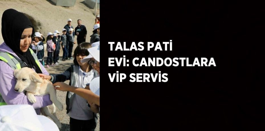 TALAS PATİ EVİ: CANDOSTLARA VİP SERVİS