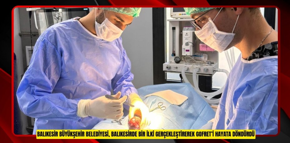 BALIKESİR BÜYÜKŞEHİR BELEDİYESİ, BALIKESİRDE BİR İLKİ GERÇEKLEŞTİREREK GOFRET’İ HAYATA DÖNDÜRDÜ