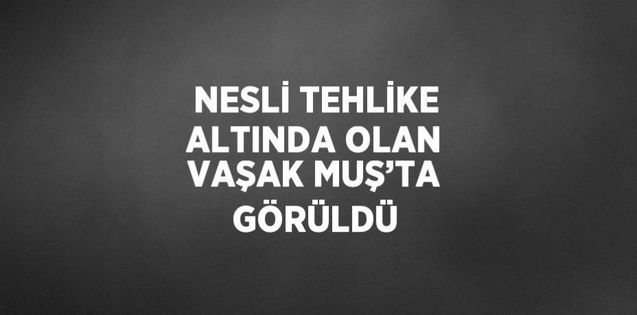NESLİ TEHLİKE ALTINDA OLAN VAŞAK MUŞ’TA GÖRÜLDÜ