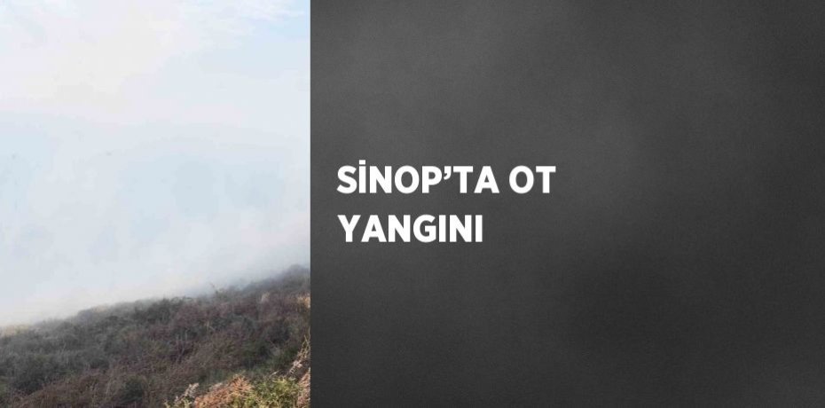 SİNOP’TA OT YANGINI