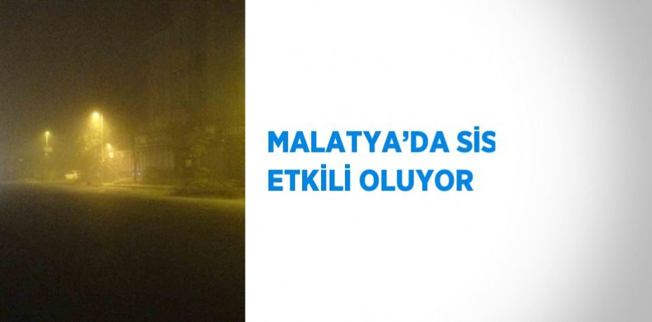 MALATYA’DA SİS ETKİLİ OLUYOR