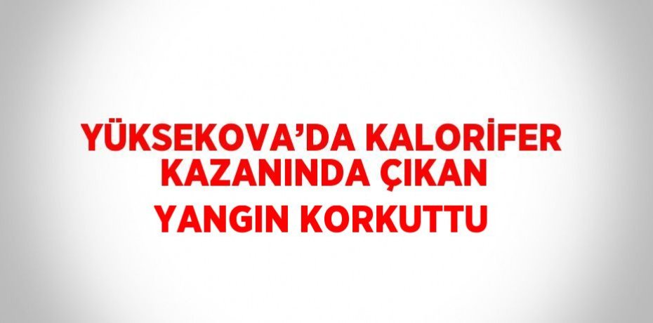 YÜKSEKOVA’DA KALORİFER KAZANINDA ÇIKAN YANGIN KORKUTTU