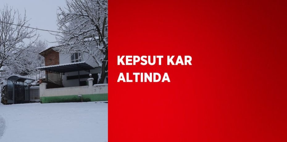 KEPSUT KAR ALTINDA
