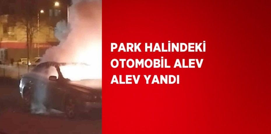 PARK HALİNDEKİ OTOMOBİL ALEV ALEV YANDI